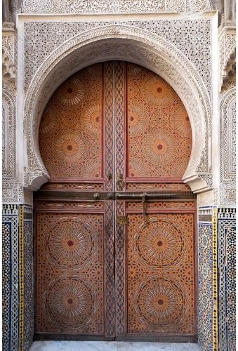 ArtDirect Fes-Morocco Stunning hand painted door (2)