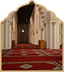 premium-nylon-mosque-carpet-in-dubai